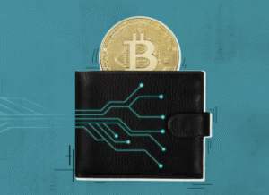 Best Crypto Wallets for Beginners
